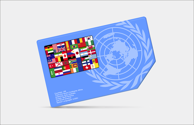 כרטיס eSIM כרטיס eSIM