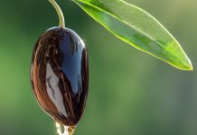 שמן זית איכותי: מפתח לבריאות וטעם