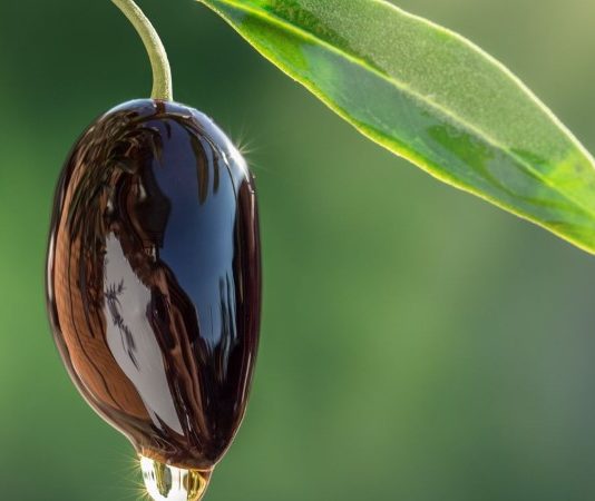 שמן זית איכותי: מפתח לבריאות וטעם